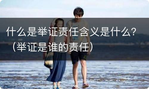 什么是举证责任含义是什么？（举证是谁的责任）