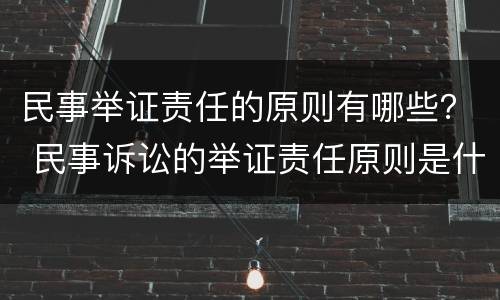 民事举证责任的原则有哪些？ 民事诉讼的举证责任原则是什么