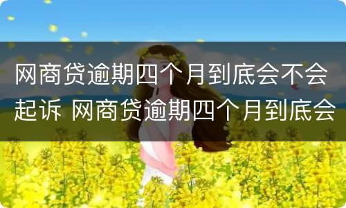 网商贷逾期四个月到底会不会起诉 网商贷逾期四个月到底会不会起诉我