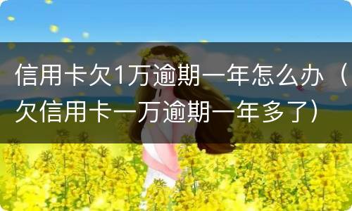 信用卡欠1万逾期一年怎么办（欠信用卡一万逾期一年多了）