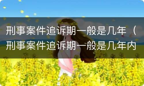 刑事案件追诉期一般是几年（刑事案件追诉期一般是几年内）