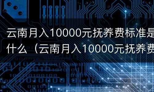 云南月入10000元抚养费标准是什么（云南月入10000元抚养费标准是什么呢）