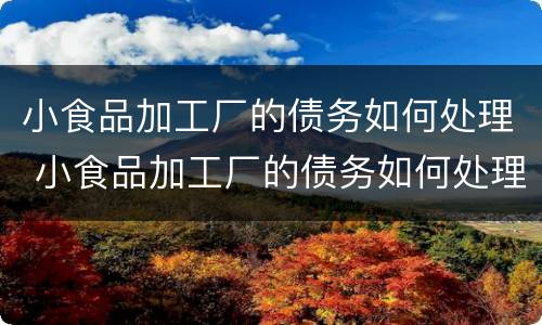 小食品加工厂的债务如何处理 小食品加工厂的债务如何处理呢