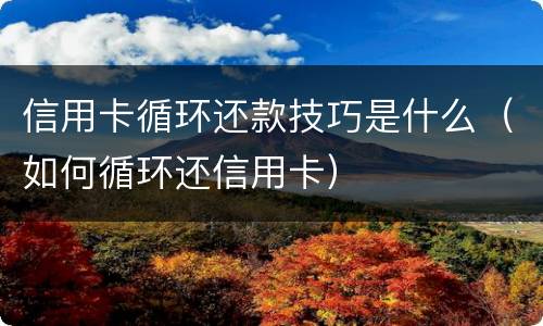 信用卡循环还款技巧是什么（如何循环还信用卡）