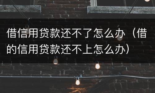 借信用贷款还不了怎么办（借的信用贷款还不上怎么办）