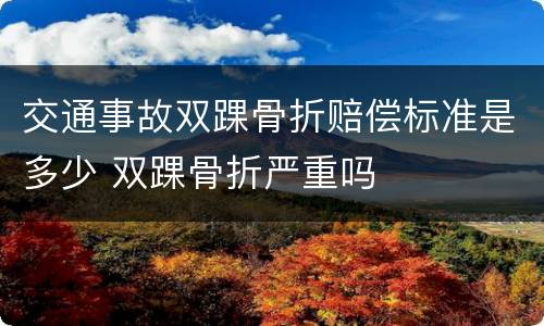 交通事故双踝骨折赔偿标准是多少 双踝骨折严重吗