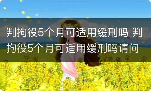 判拘役5个月可适用缓刑吗 判拘役5个月可适用缓刑吗请问