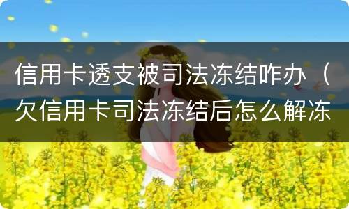 信用卡透支被司法冻结咋办（欠信用卡司法冻结后怎么解冻）