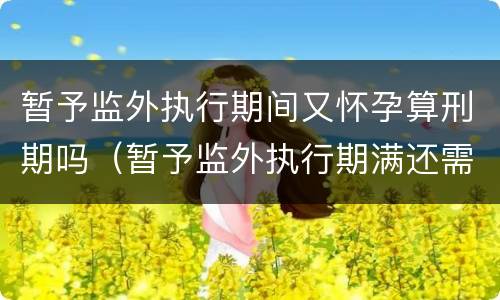 暂予监外执行期间又怀孕算刑期吗（暂予监外执行期满还需服刑吗）