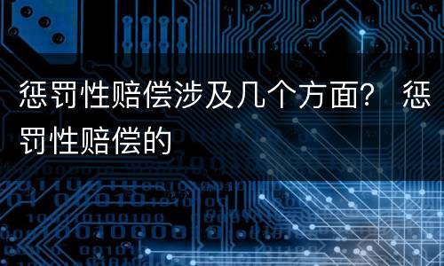 惩罚性赔偿涉及几个方面？ 惩罚性赔偿的
