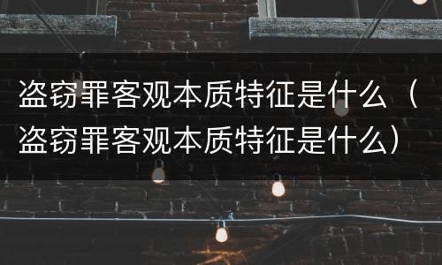盗窃罪客观本质特征是什么（盗窃罪客观本质特征是什么）