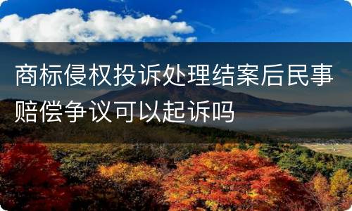 商标侵权投诉处理结案后民事赔偿争议可以起诉吗