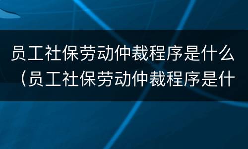 员工社保劳动仲裁程序是什么（员工社保劳动仲裁程序是什么样的）