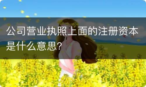 公司营业执照上面的注册资本是什么意思？