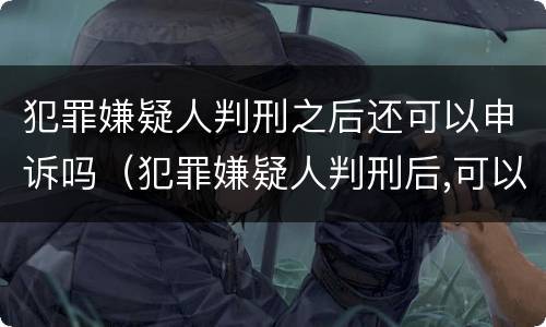 犯罪嫌疑人判刑之后还可以申诉吗（犯罪嫌疑人判刑后,可以接见吗）