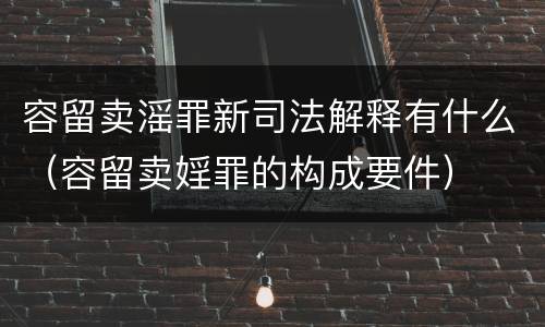 容留卖滛罪新司法解释有什么（容留卖婬罪的构成要件）