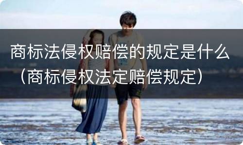 商标法侵权赔偿的规定是什么（商标侵权法定赔偿规定）