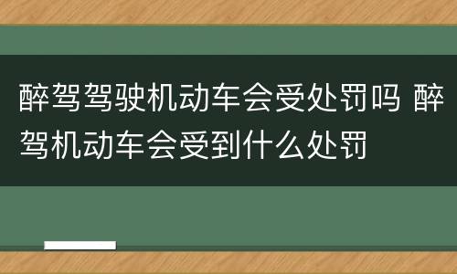 醉驾驾驶机动车会受处罚吗 醉驾机动车会受到什么处罚