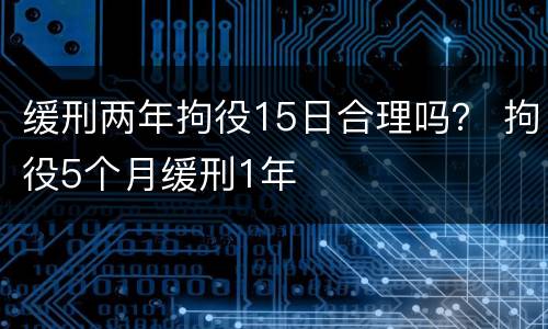 缓刑两年拘役15日合理吗？ 拘役5个月缓刑1年