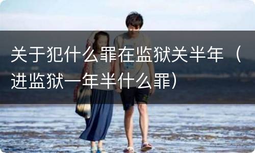 关于犯什么罪在监狱关半年（进监狱一年半什么罪）