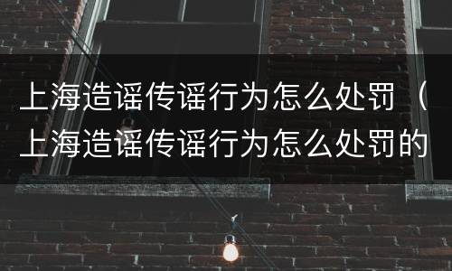 上海造谣传谣行为怎么处罚（上海造谣传谣行为怎么处罚的）