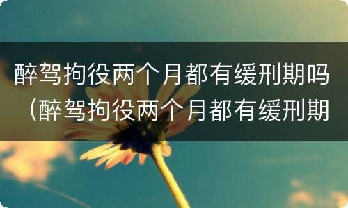 醉驾拘役两个月都有缓刑期吗（醉驾拘役两个月都有缓刑期吗知乎）