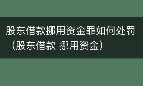 股东借款挪用资金罪如何处罚（股东借款 挪用资金）