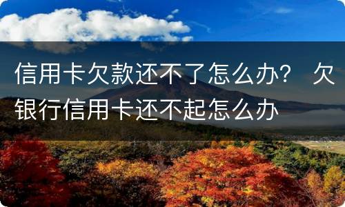 信用卡欠款还不了怎么办？ 欠银行信用卡还不起怎么办