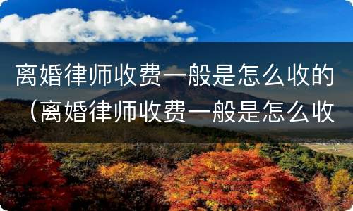 离婚律师收费一般是怎么收的（离婚律师收费一般是怎么收的神精分列症离婚）