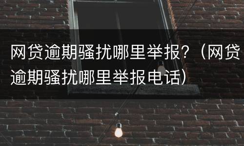 网贷逾期骚扰哪里举报?（网贷逾期骚扰哪里举报电话）