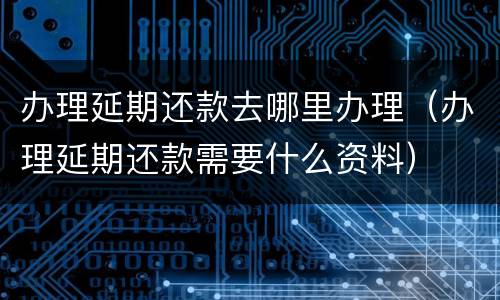办理延期还款去哪里办理（办理延期还款需要什么资料）