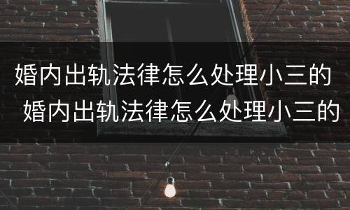 婚内出轨法律怎么处理小三的 婚内出轨法律怎么处理小三的问题