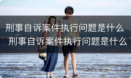 刑事自诉案件执行问题是什么 刑事自诉案件执行问题是什么原则