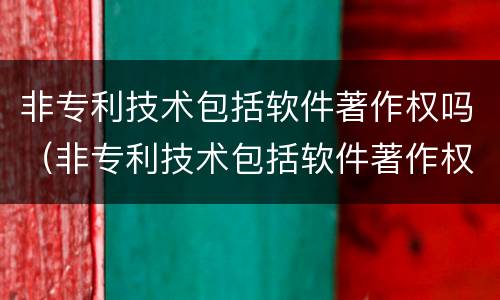 非专利技术包括软件著作权吗（非专利技术包括软件著作权吗知乎）