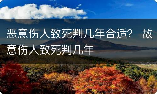 恶意伤人致死判几年合适？ 故意伤人致死判几年