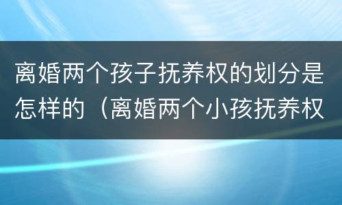 离婚两个孩子抚养权的划分是怎样的（离婚两个小孩抚养权怎么判定2021）