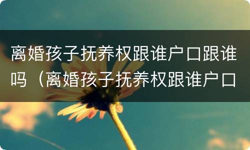 离婚孩子抚养权跟谁户口跟谁吗（离婚孩子抚养权跟谁户口跟谁吗有关系吗）