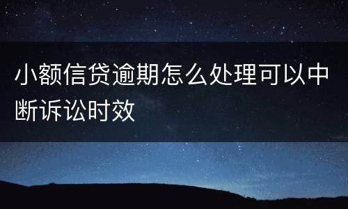 小额信贷逾期怎么处理可以中断诉讼时效