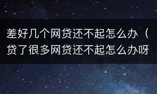 差好几个网贷还不起怎么办（贷了很多网贷还不起怎么办呀）