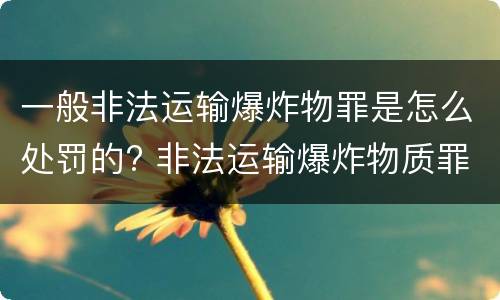一般非法运输爆炸物罪是怎么处罚的? 非法运输爆炸物质罪