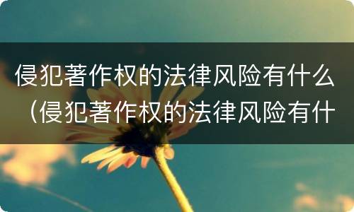 侵犯著作权的法律风险有什么（侵犯著作权的法律风险有什么意义）
