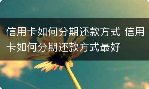 信用卡如何分期还款方式 信用卡如何分期还款方式最好