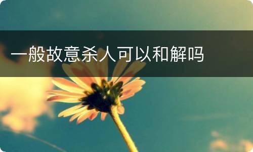 一般故意杀人可以和解吗