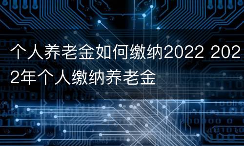个人养老金如何缴纳2022 2022年个人缴纳养老金