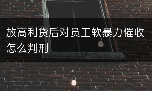 放高利贷后对员工软暴力催收怎么判刑