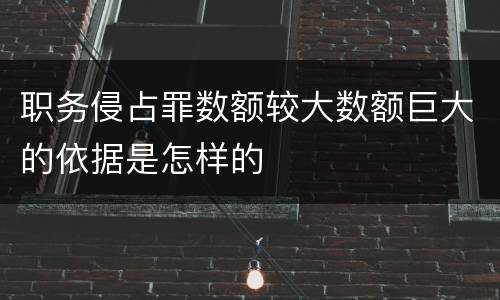 职务侵占罪数额较大数额巨大的依据是怎样的