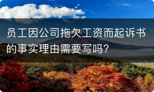 员工因公司拖欠工资而起诉书的事实理由需要写吗?