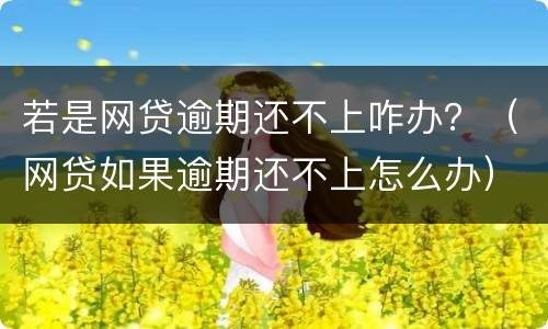 若是网贷逾期还不上咋办？（网贷如果逾期还不上怎么办）