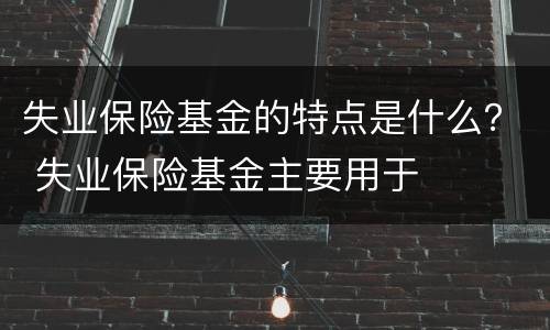失业保险基金的特点是什么？ 失业保险基金主要用于