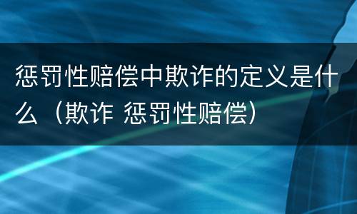 惩罚性赔偿中欺诈的定义是什么（欺诈 惩罚性赔偿）